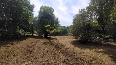 Terreno  Venda em Riba de Âncora,Caminha