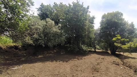 Terreno  Venda em Riba de Âncora,Caminha