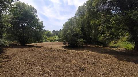 Terreno  Venda em Riba de Âncora,Caminha