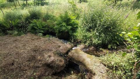 Terreno  Venda em Riba de Âncora,Caminha
