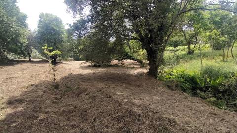 Terreno  Venda em Riba de Âncora,Caminha