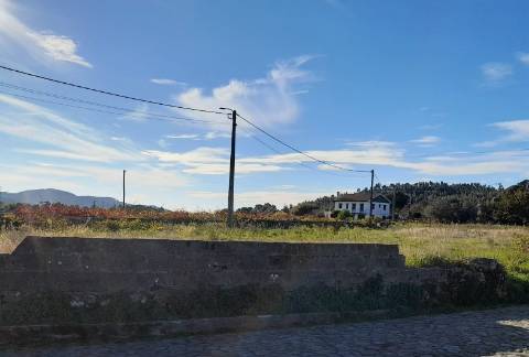 Terreno  Venda em Riba de Âncora,Caminha