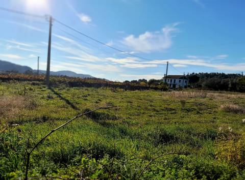 Terreno  Venda em Riba de Âncora,Caminha