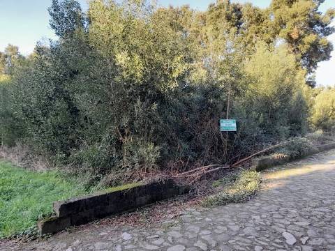 Terreno  Venda em Moledo e Cristelo,Caminha
