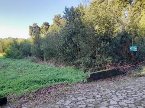 Terreno  Venda em Moledo e Cristelo,Caminha