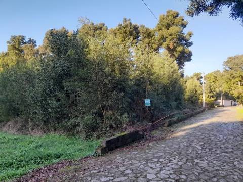 Terreno  Venda em Moledo e Cristelo,Caminha