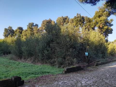 Terreno  Venda em Moledo e Cristelo,Caminha