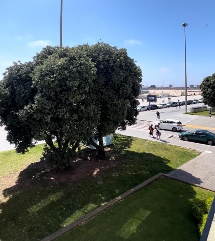 T4  - 1 LINHA MAR - MATOSINHOS