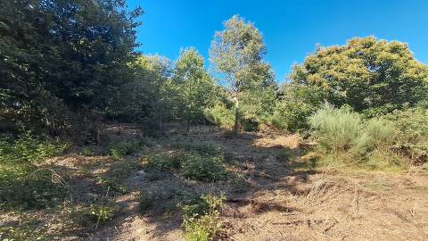 Terreno Para Construção  Venda em Vila Nova de Paiva, Alhais e Fráguas,Vila Nova de Paiva