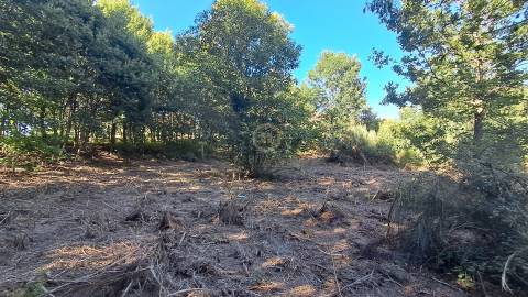 Terreno Para Construção  Venda em Vila Nova de Paiva, Alhais e Fráguas,Vila Nova de Paiva