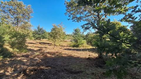 Terreno Para Construção  Venda em Vila Nova de Paiva, Alhais e Fráguas,Vila Nova de Paiva