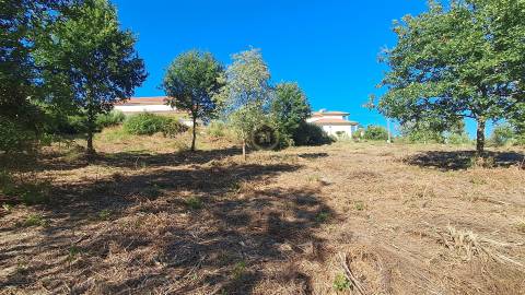 Terreno Para Construção  Venda em Vila Nova de Paiva, Alhais e Fráguas,Vila Nova de Paiva