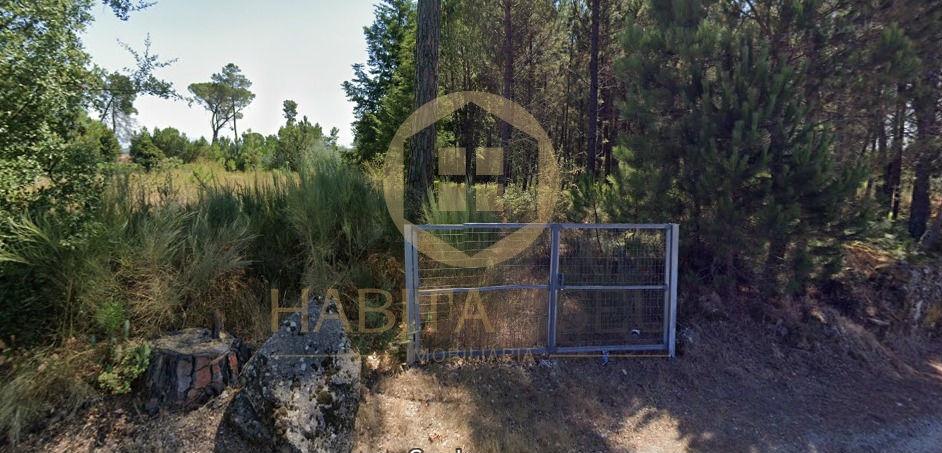 Terreno Para Construção  Venda em Santar e Moreira,Nelas