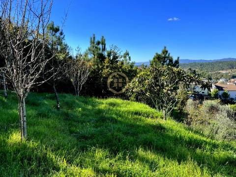 Terreno Para Construção  Venda em Orgens,Viseu