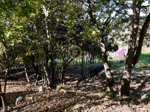 Terreno Para Construção  Venda em Orgens,Viseu