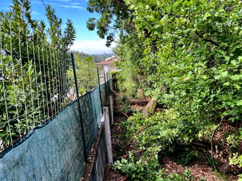 Terreno Para Construção  Venda em Orgens,Viseu