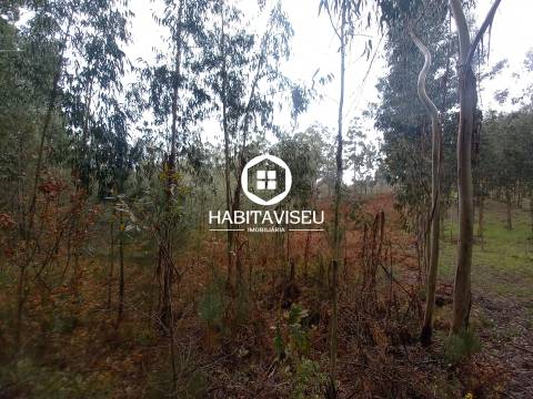 Terreno Para Construção  Venda em Sátão,Sátão