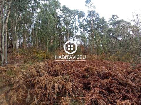 Terreno Para Construção  Venda em Sátão,Sátão