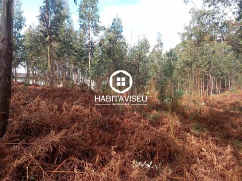 Terreno Para Construção  Venda em Sátão,Sátão