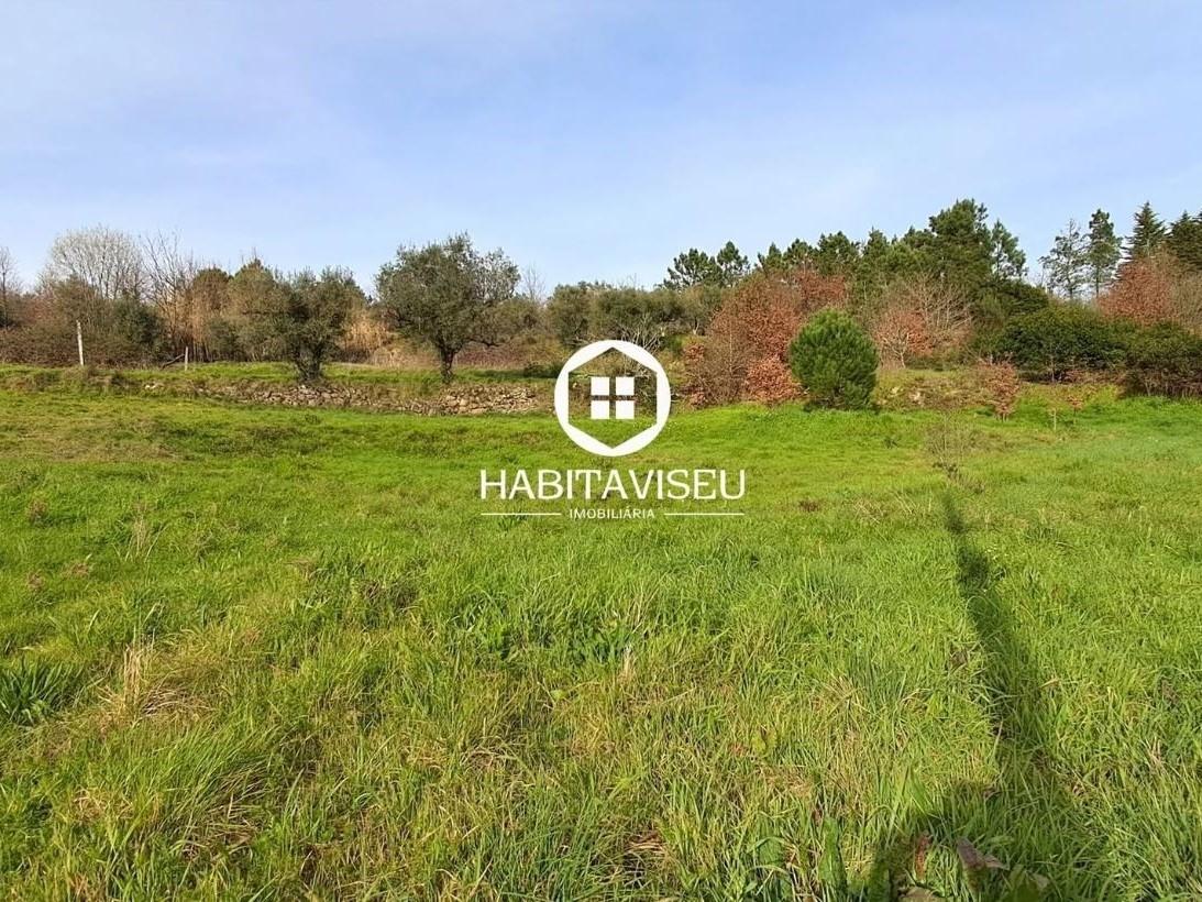 Terreno Para Construção  Venda em Fragosela,Viseu