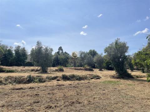 Terreno Urbano  Venda em Silgueiros,Viseu
