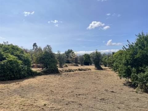 Terreno Urbano  Venda em Silgueiros,Viseu