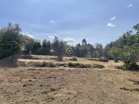 Terreno Para Construção  Venda em Silgueiros,Viseu