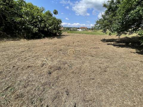 Terreno Para Construção  Venda em Silgueiros,Viseu