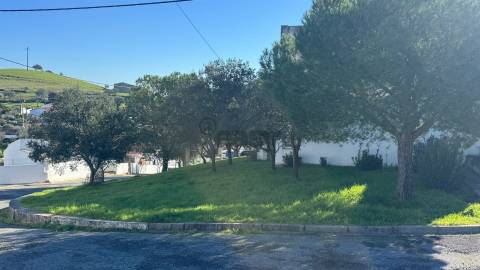 Terreno Urbano com 450m2 na Aldeia do Corvo, Castro Verde