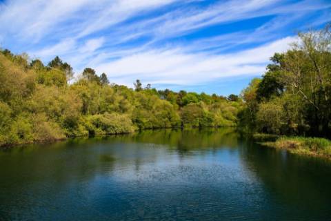 Terreno para construção ,1620m² em Covas: PIP Aprovado e Vista Serra d´Arga