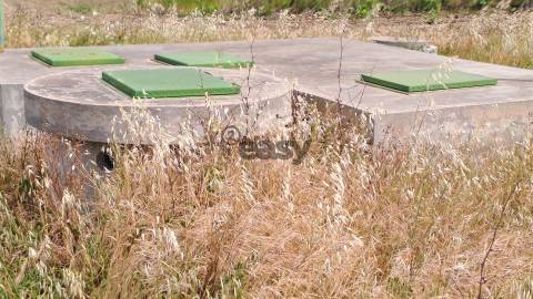 Vinha com 3 hectares na Região Vinícola da Vidigueira
