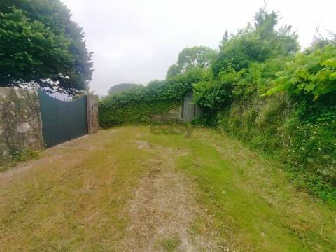 Terreno de Luxo em Caminha (5.000 m²) | Investimento Premium