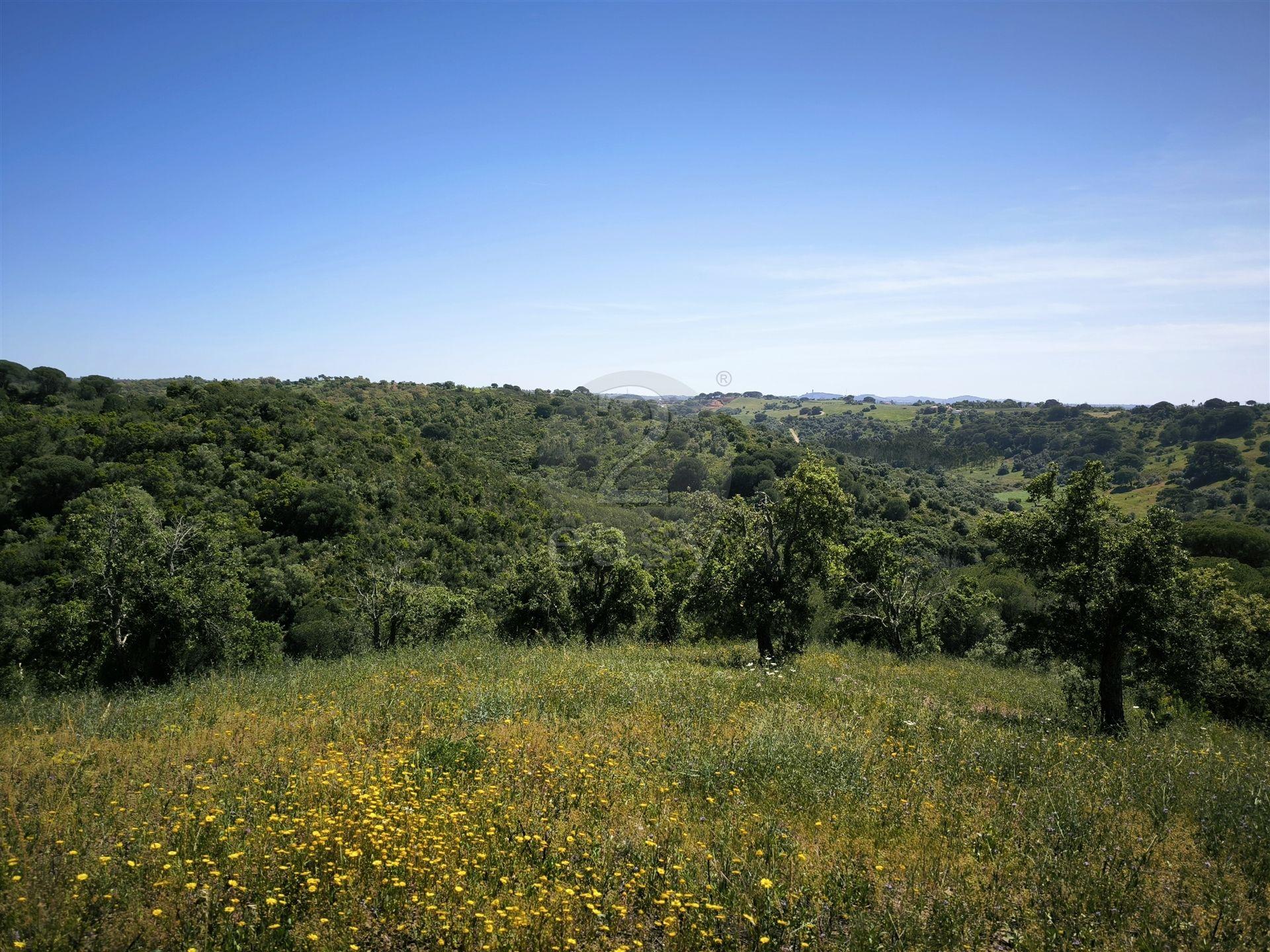 Terreno Rústico com 11,95ha com viabilidade de construção no Litoral Alentejano