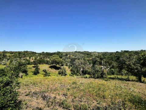 Terreno Rústico com 11,95ha com viabilidade de construção no Litoral Alentejano