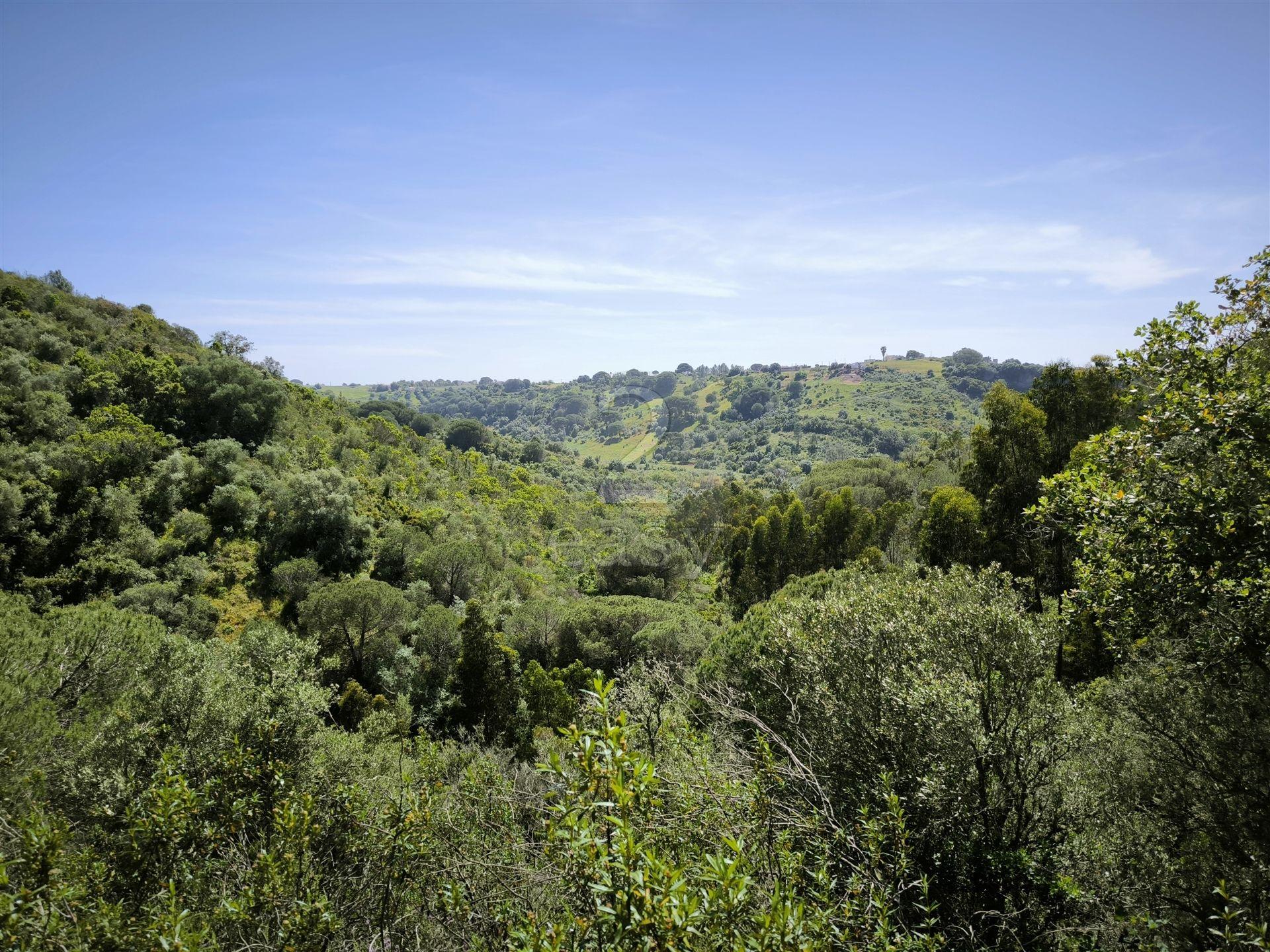Terreno Rústico com 11,95ha com viabilidade de construção no Litoral Alentejano