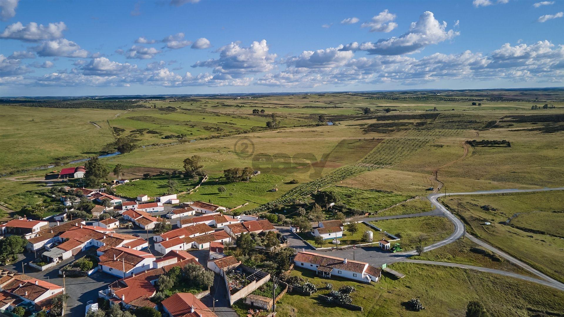 Terreno rústico 5,575 ha, Plantação de Figueira Índia, São Marcos da Ataboeira