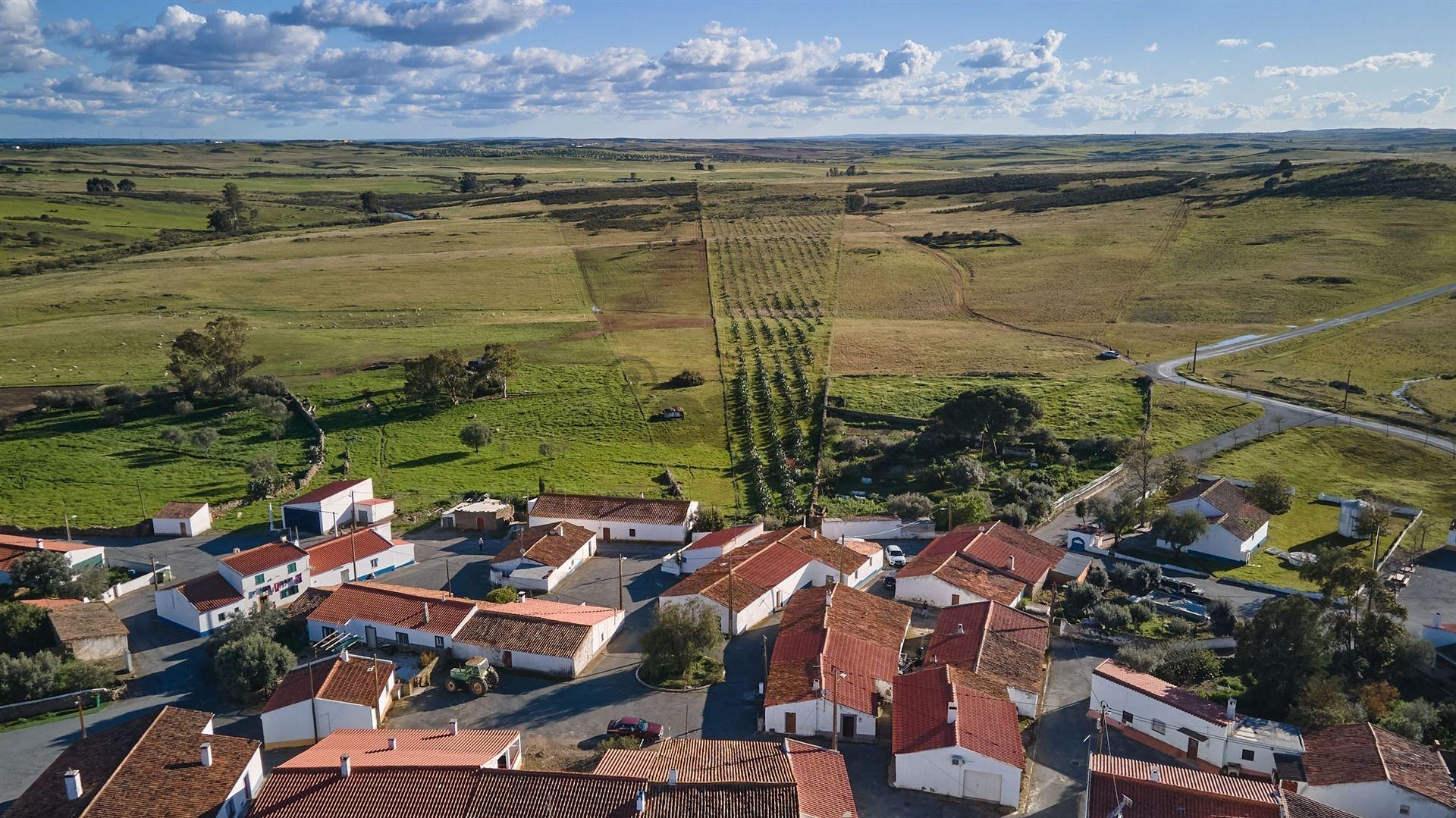 Terreno rústico 5,575 ha, Plantação de Figueira Índia, São Marcos da Ataboeira