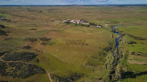 Terreno rústico 5,575 ha, Plantação de Figueira Índia, São Marcos da Ataboeira