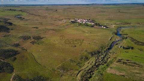 Terreno rústico 5,575 ha, Plantação de Figueira Índia, São Marcos da Ataboeira