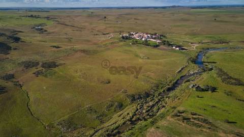 Terreno rústico 5,575 ha, Plantação de Figueira Índia, São Marcos da Ataboeira