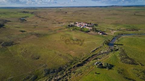 Terreno rústico 5,575 ha, Plantação de Figueira Índia, São Marcos da Ataboeira