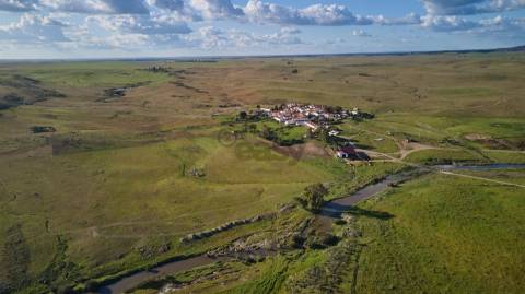 Terreno rústico 5,575 ha, Plantação de Figueira Índia, São Marcos da Ataboeira