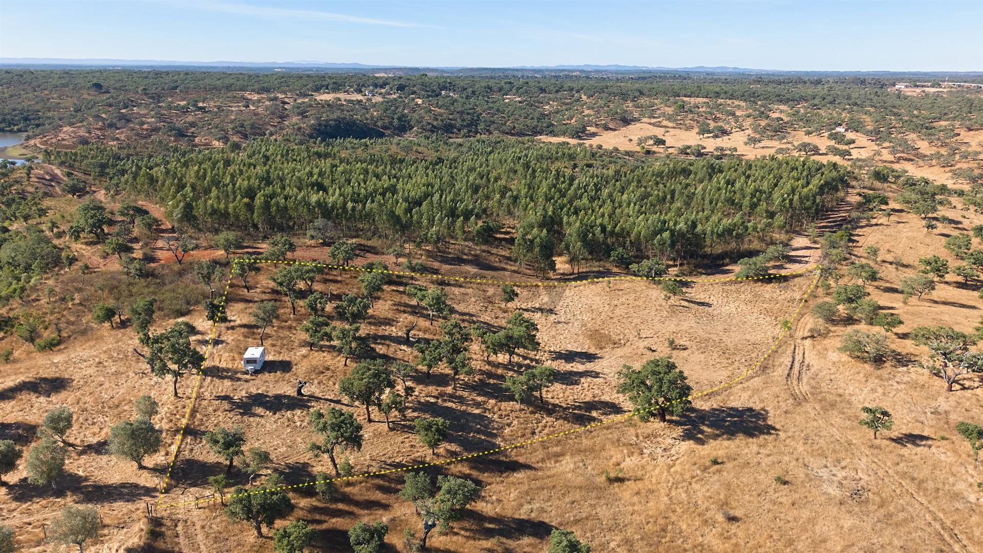 Terreno Rústico com 8.250 m² em Abela – Santiago do Cacém