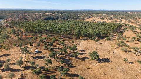 Terreno Rústico com 8.250 m² em Abela – Santiago do Cacém