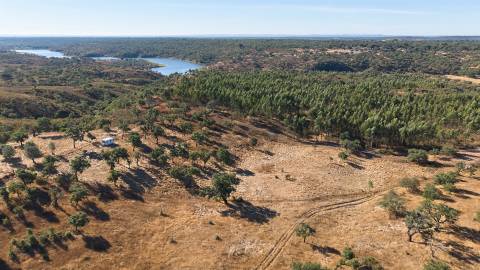 Terreno Rústico com 8.250 m² em Abela – Santiago do Cacém