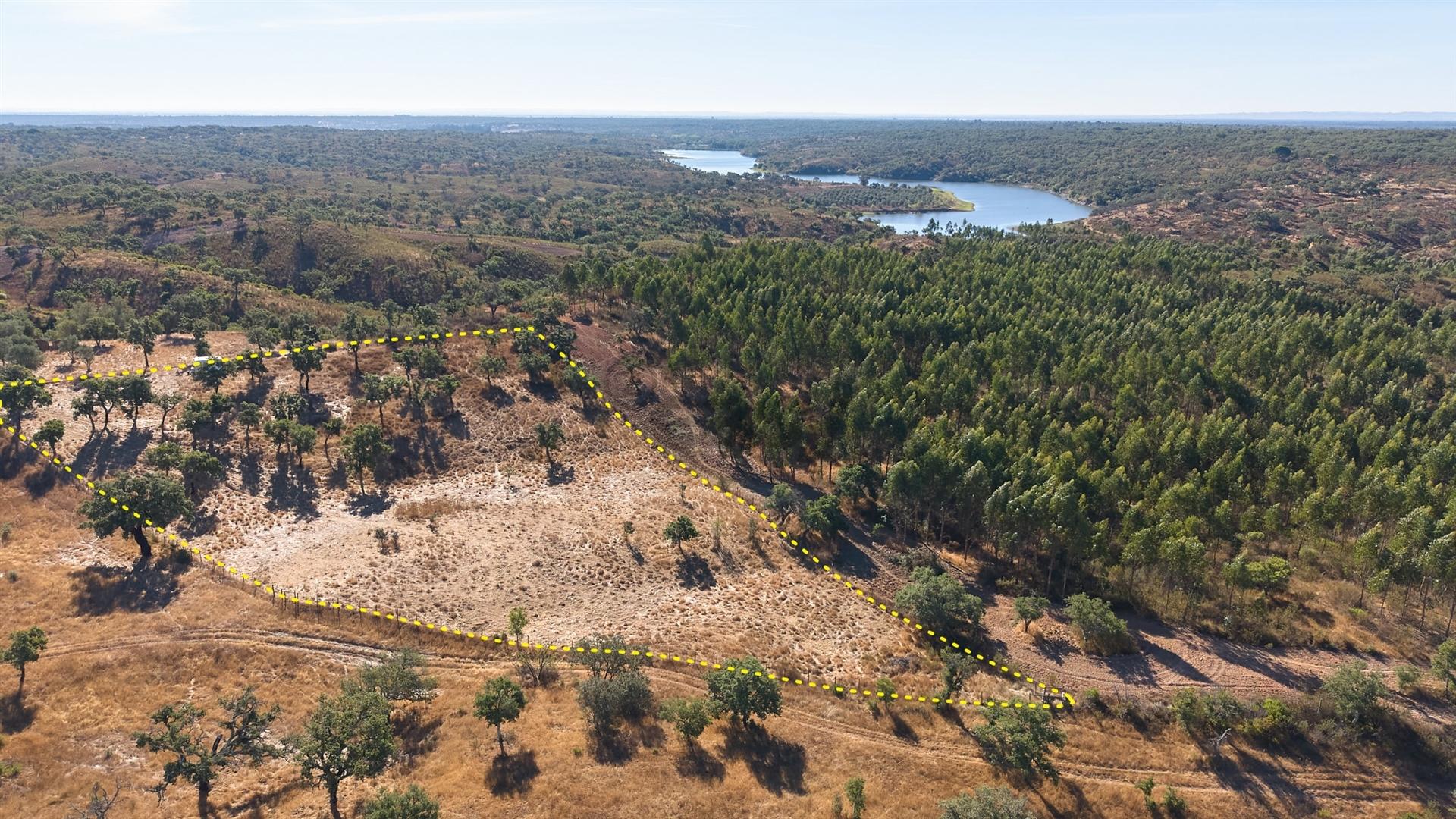 Terreno Rústico com 8.250 m² em Abela – Santiago do Cacém