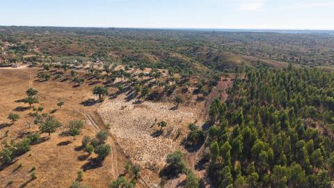 Terreno Rústico com 8.250 m² em Abela – Santiago do Cacém