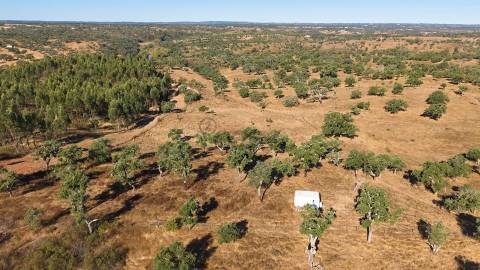 Terreno Rústico com 8.250 m² em Abela – Santiago do Cacém