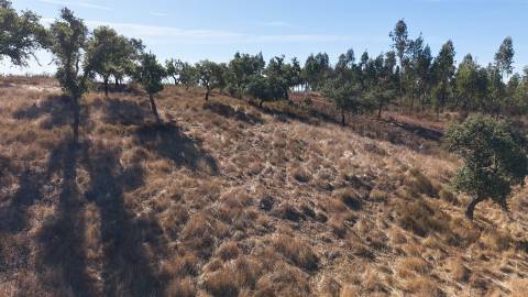 Terreno Rústico com 8.250 m² em Abela – Santiago do Cacém