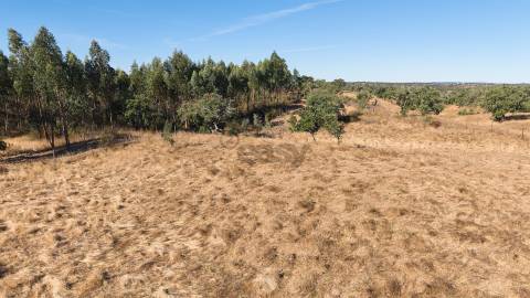 Terreno Rústico com 8.250 m² em Abela – Santiago do Cacém